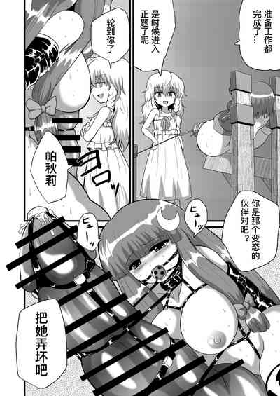 第13页图
