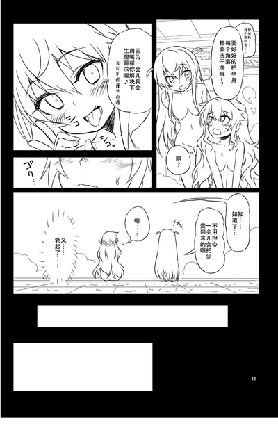 第13页图