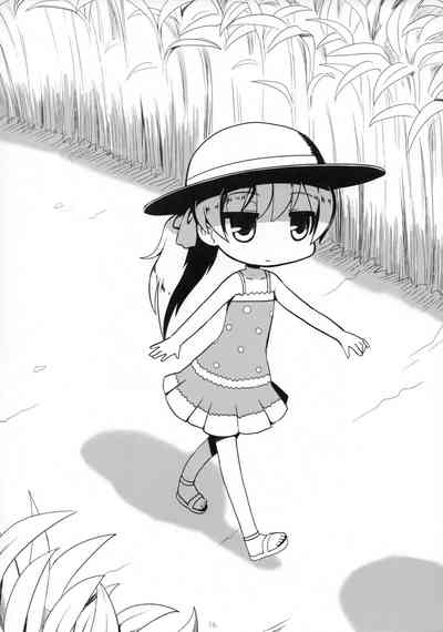 第17頁圖