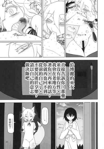 第25頁圖