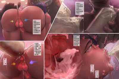 第29頁圖