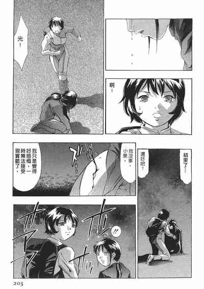 第201頁圖