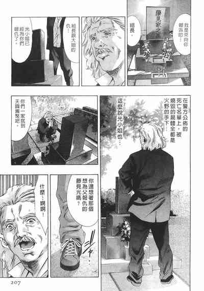 第205頁圖