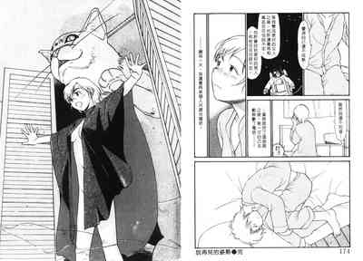 第89頁圖