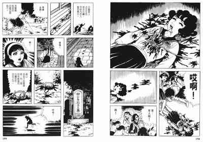 第101頁圖