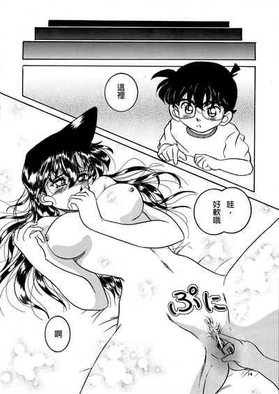 第13頁圖