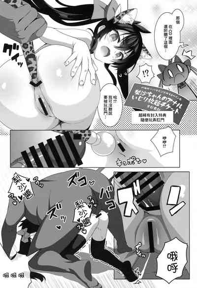 第13頁圖