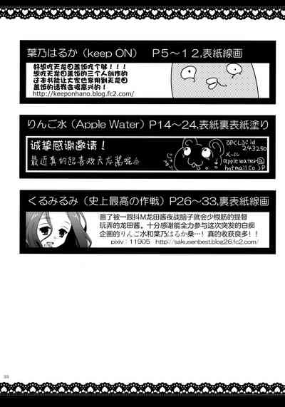 第33页图