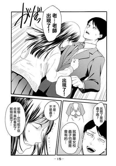 第13页图