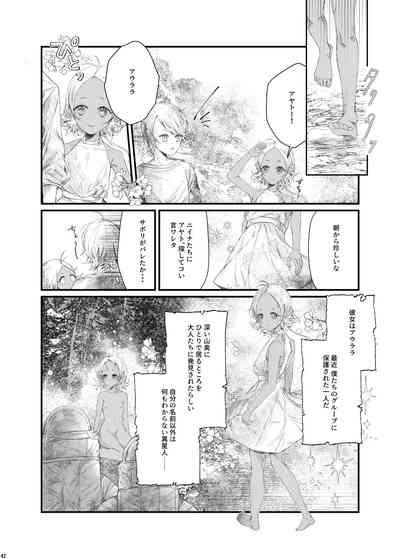 第41頁圖