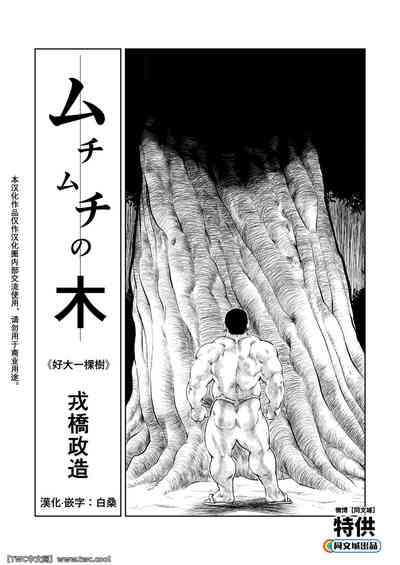 第1頁圖