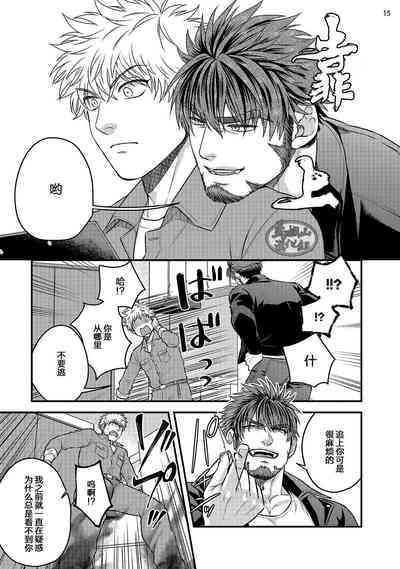 第17頁圖