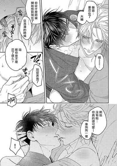 第241頁圖