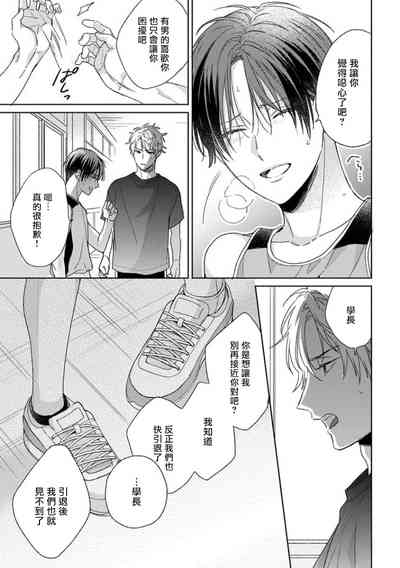 第293頁圖