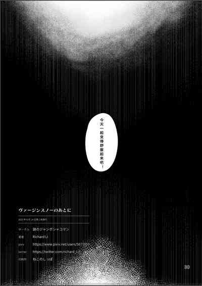 第29頁圖