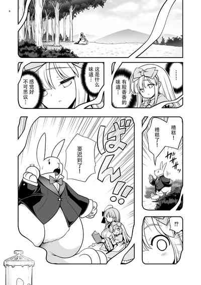 第5页图