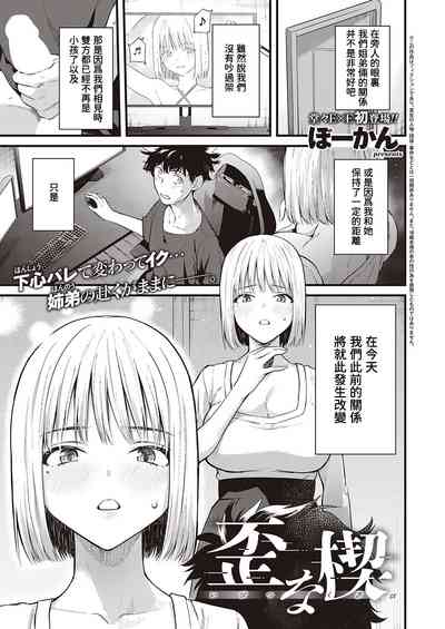 第1頁圖