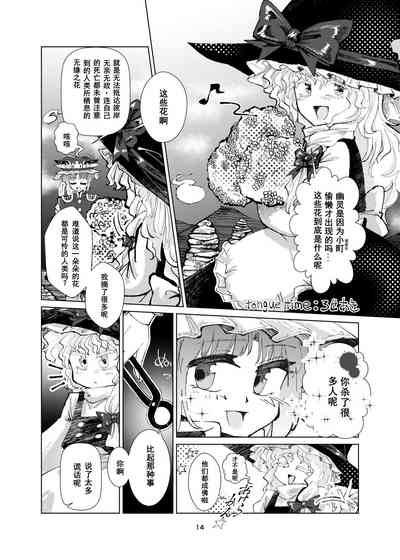 第13頁圖