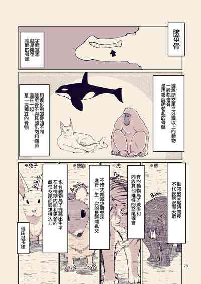 第29页图