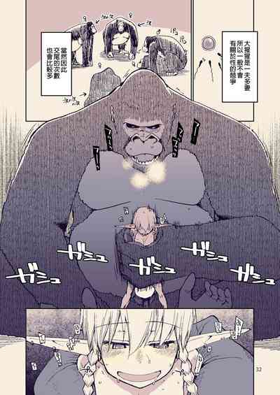 第33页图