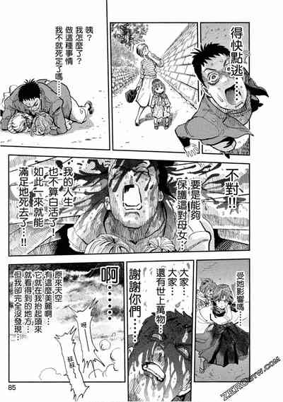 第85頁圖