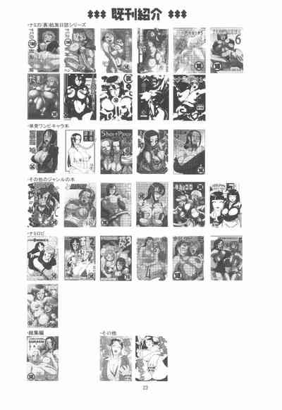 第25頁圖