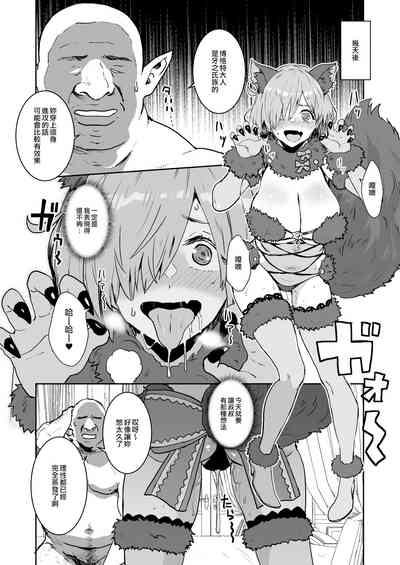 第17页图