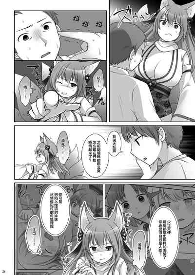 第25頁圖