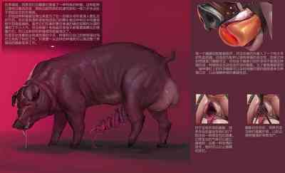 第37页图
