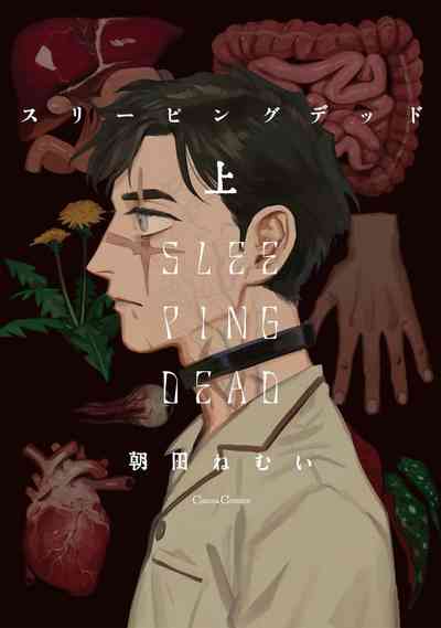 第1頁圖