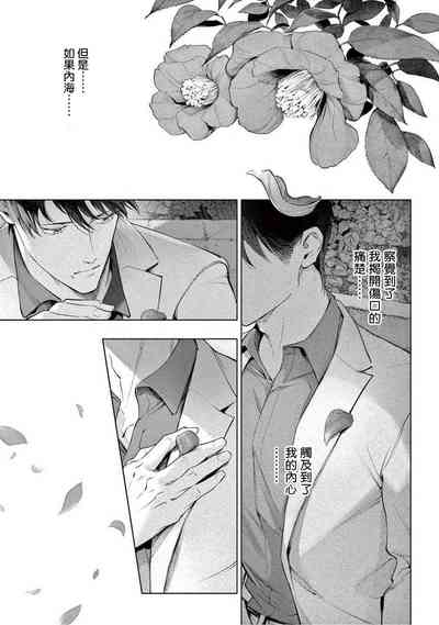 第277頁圖