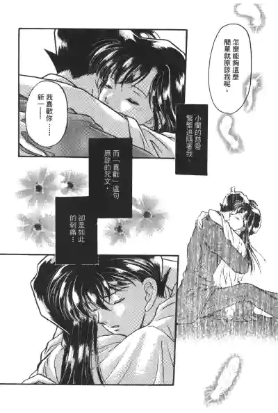 第81頁圖