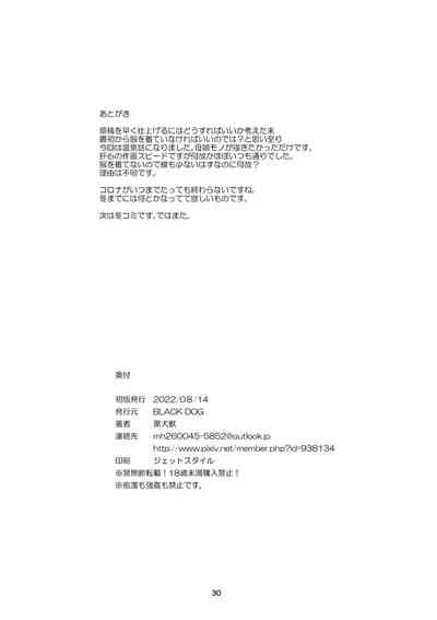 第29頁圖