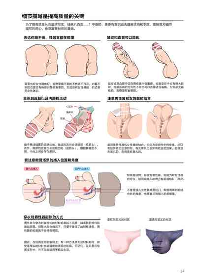第37页图