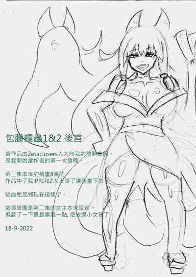 第41頁圖