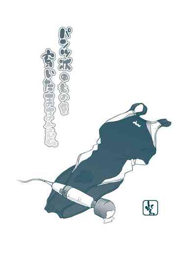 第213頁圖
