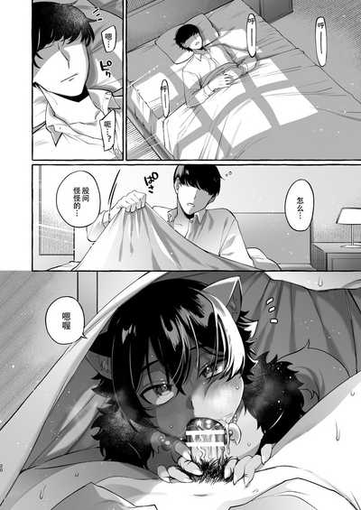 第21頁圖