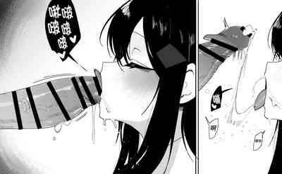 第17页图