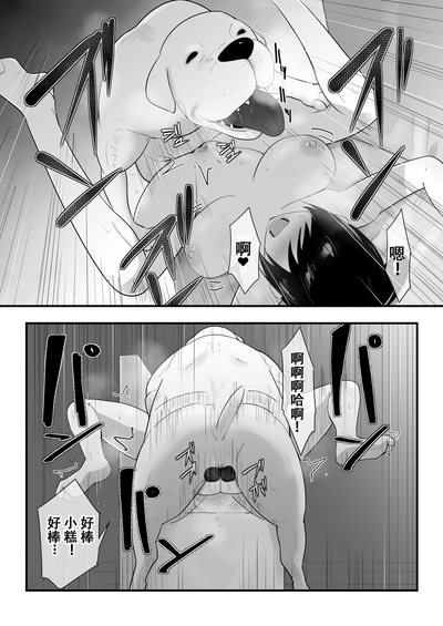 第17頁圖
