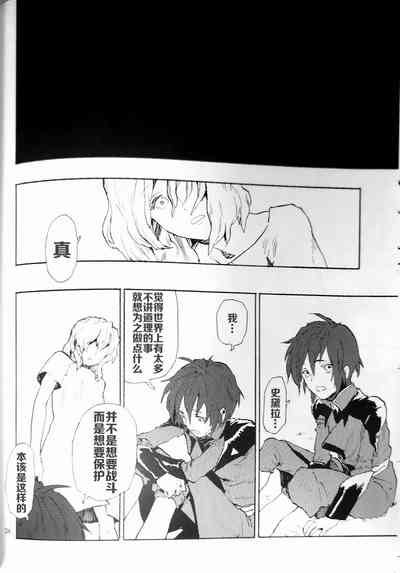 第25页图