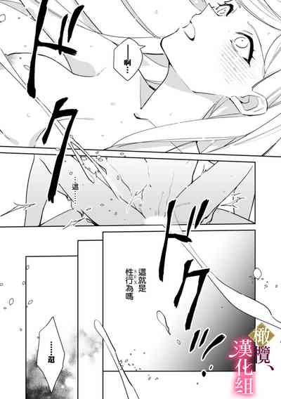 第33頁圖