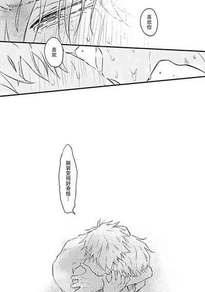第221页图