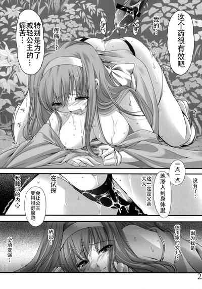 第25頁圖