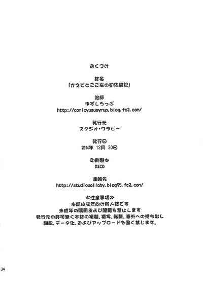 第33页图