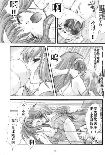 第65頁圖