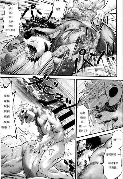第21頁圖