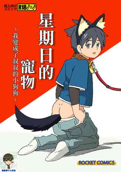第1頁圖