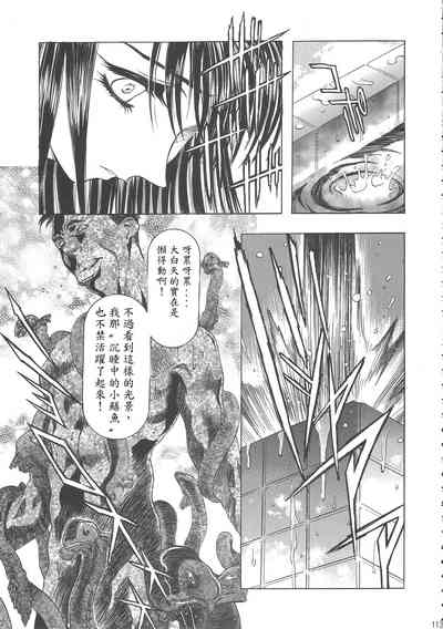 第117頁圖