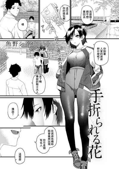 第1頁圖