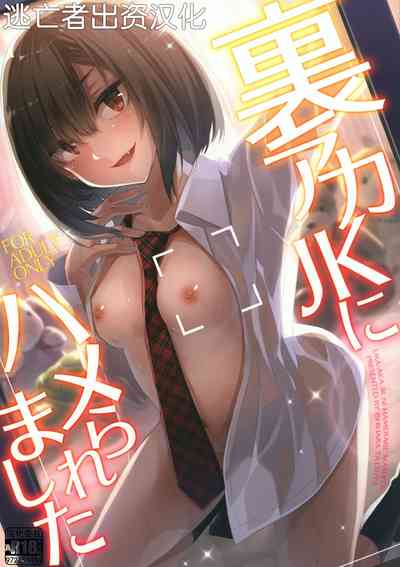 第1頁圖